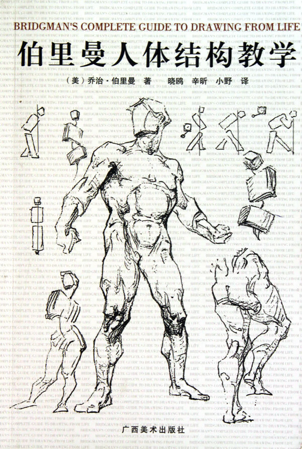 【正版】伯里曼人体结构教学(美)乔治·伯里曼|译者:晓鸥//辛昕//小野