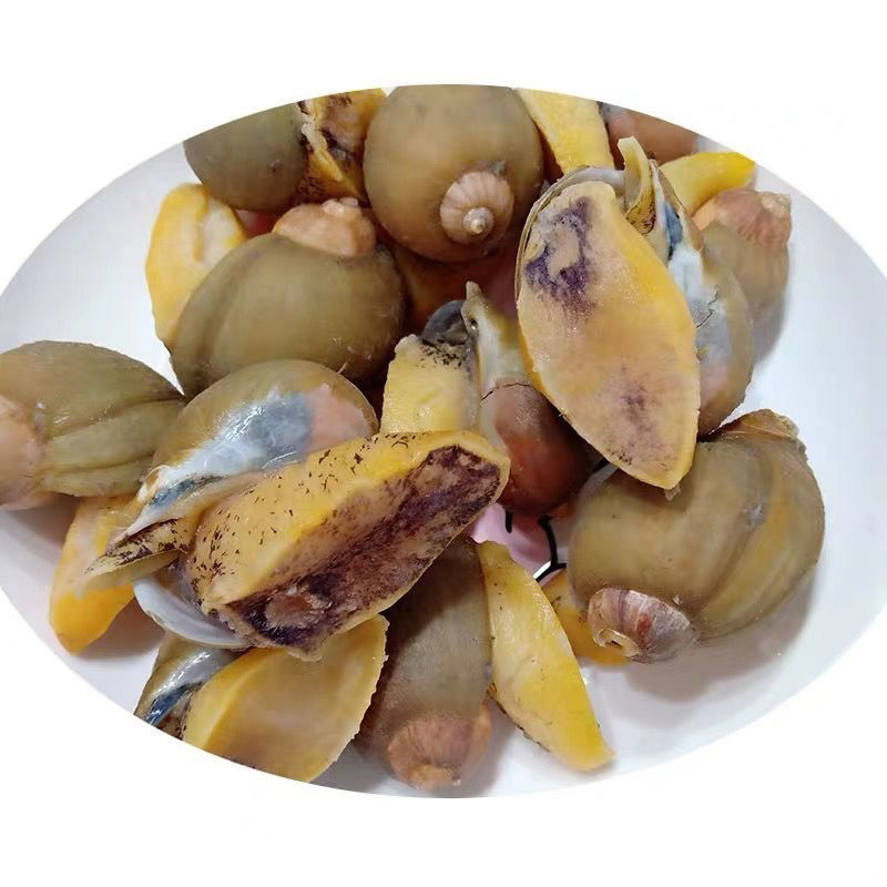 斓维品 老婆脚海蜗牛鲍螺肉无冰无沙鲍鱼螺无粘液半熟发货 半熟老婆脚