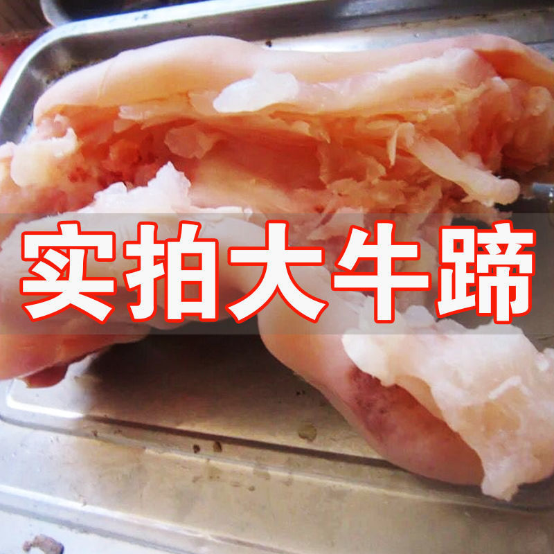 如题山正宗草饲黄牛牛蹄筋牛蹄子整只新鲜牛蹄筋牛蹄皮牛蹄脚牛蹄子熟