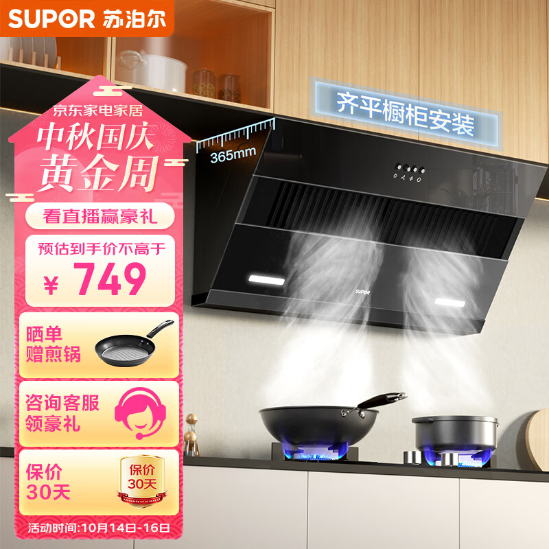 苏泊尔(SUPOR)抽油烟机 家用小尺寸大吸力 19立方侧吸式吸油烟机小户型脱排油烟机 DJ13S