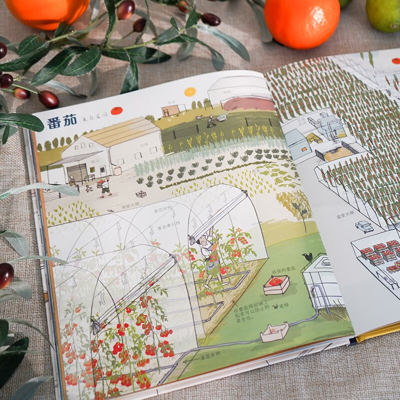 我们的食物从哪里来