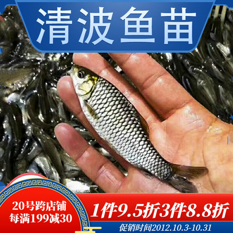 水族活体历史价格价格查询App|水族活体价格走势