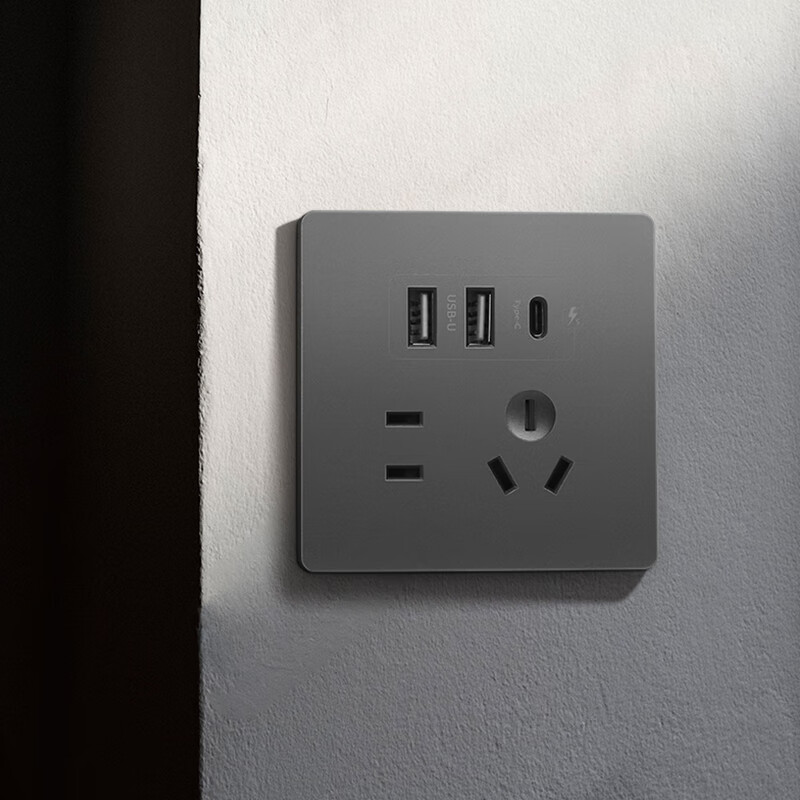 国际电工暗装86型20W快充USB插座开关面板墙壁手机充电Type-c家用五孔 USB+typeC(白色)