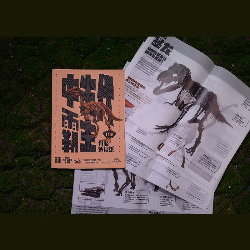 恐龙有绝招（全球三大恐龙博物馆日本福井恐龙博物馆惊艳出品！详情图