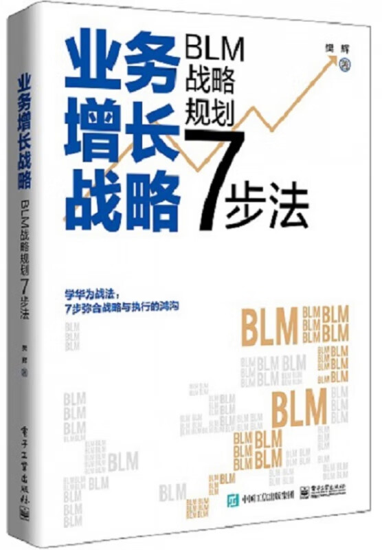 业务增长战略 : BLM战略规划7步法