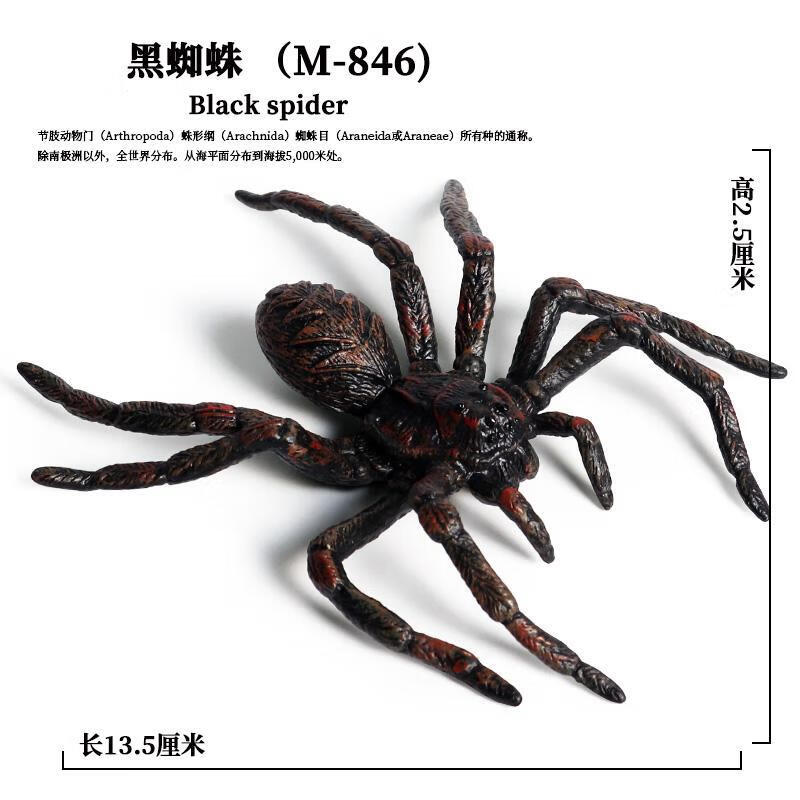 【万圣节】仿真蜘蛛玩具万圣节道具恐怖大黑蜘蛛模型儿童认知科普玩具