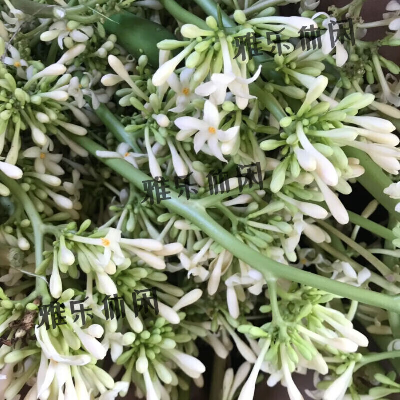 (鲜品)野生木瓜公花 木瓜雄花木瓜公花300克 净重300克