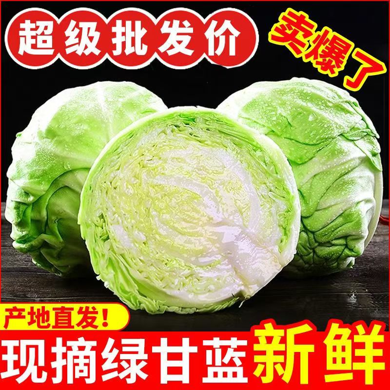 遇见悯农新鲜包菜卷心白菜蔬菜生鲜辣白菜原料产地直供整箱包邮 净重 45斤 包菜（卷心菜绿甘蓝） 京东折扣/优惠券