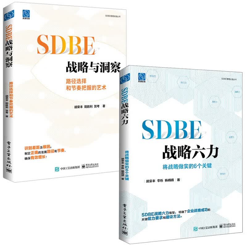 【全2册】SDBE战略六力将战略做实的6个关键SDBE战略与洞察路径选择和节奏把握的艺术胡荣丰企业战略构想使命愿景战略目标书籍怎么样,好用不?