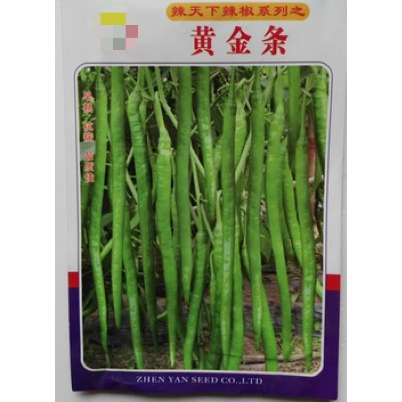 红人迷超长线椒种子高产早熟四季播盆栽朝天椒种子螺丝椒种子长青椒