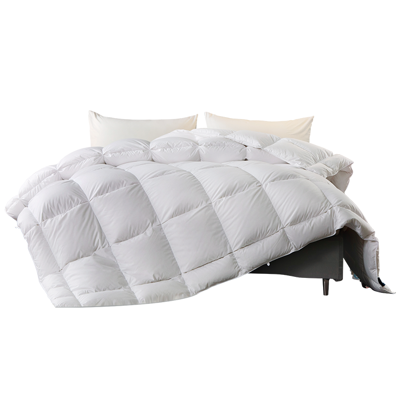 安睡寶（SOMERELLE）羽絨被95%俄羅斯進(jìn)口大朵白鵝絨被子春秋被冬被抗菌被芯鵝絨被 俄羅斯進(jìn)口95%大朵白鵝絨立體鎖暖-冬被 【抗菌面料】 【150*215cm-抗菌保暖】