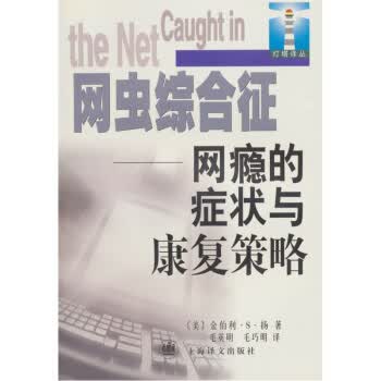 网虫综合征:网瘾的症状与康复策略【正版图书】