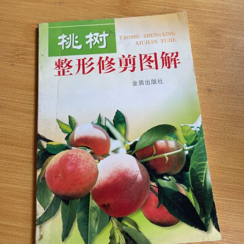 【绝版旧书】桃树整形修剪图解 金盾出版社