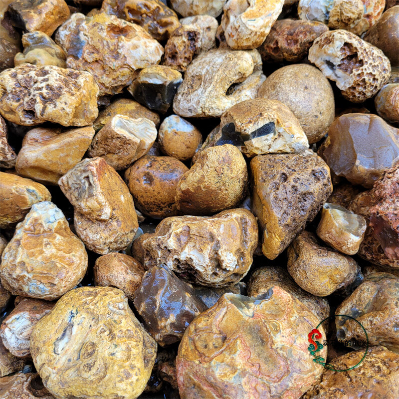 语森忆钙化皮灰玛瑙原石毛料矿石标本玉石巧雕练手把玩灰肉冰透 原石