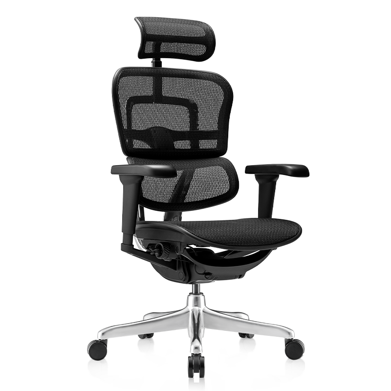 Ergonor���ѽ��b��ӥ ���幤ѧ�λ����칫���ӵ����ε羺�� ��ɫ��