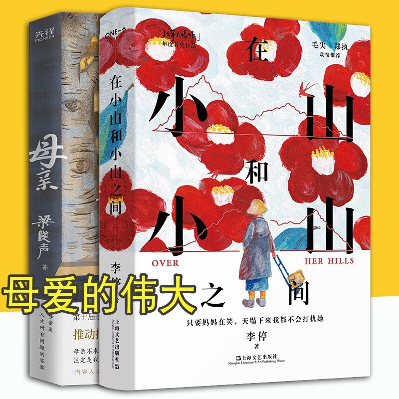 李停 梁晓声著 one一个故事大爆炸年度作品(妈妈能给的爱,就是一次又