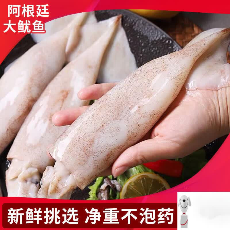 鲜乐季大鱿鱼整只新鲜海鲜水产烧烤食材生鲜冷冻阿根廷枪乌贼大 1000g