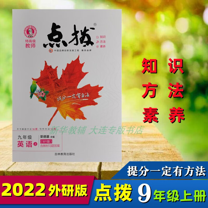 2022新版荣德基特教师点拨英语9九年级上册外研教材同步解析
