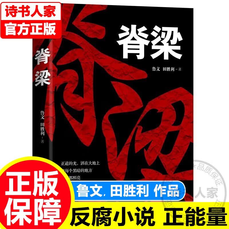 【旗舰店正版】脊梁小说 鲁文田胜利 脊梁鲁文 共和国的脊梁小说正能量反腐电视剧正版官场小说JST正道的光洒在大地上广东人民出版社 正版使用感如何?