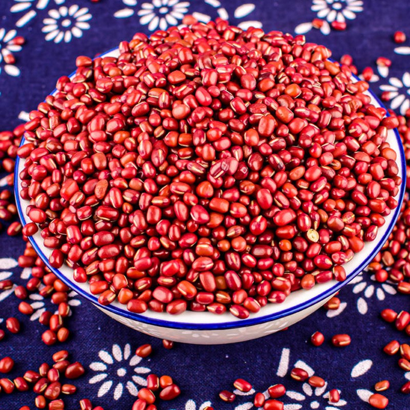北蔬红小豆种子红豆赤小豆籽蔬菜 红小豆种子 50g