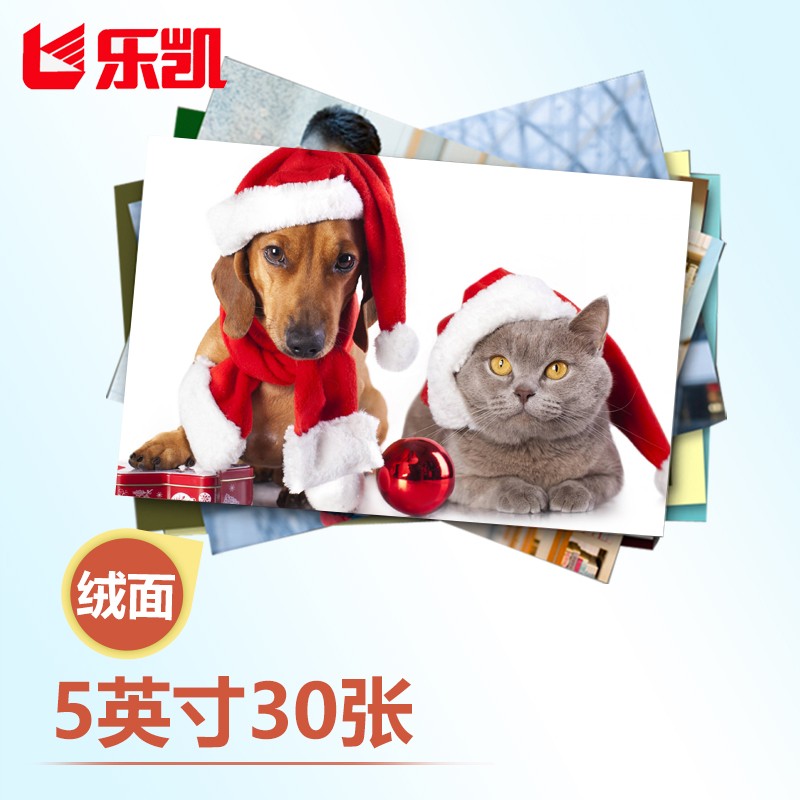 冲印服务行情价格走势图|冲印服务价格历史