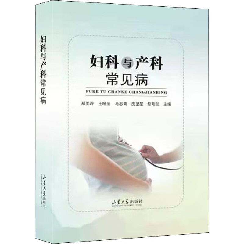 妇科与产科常见病 图书