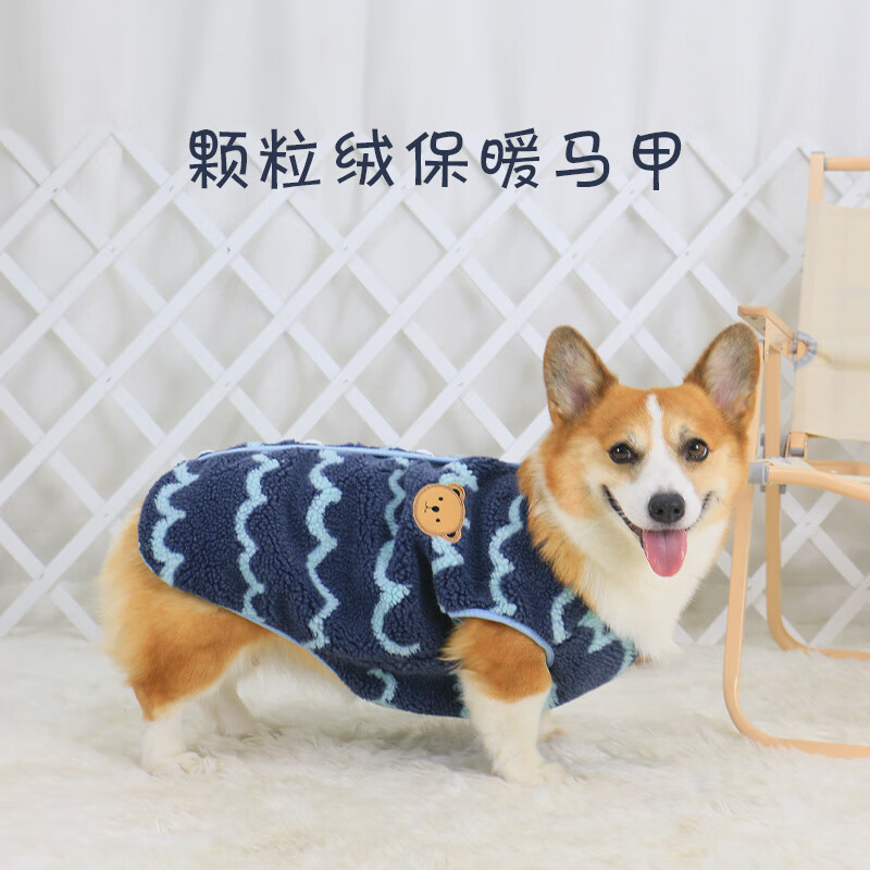 宠物鞋服怎么看历史价格走势|宠物鞋服价格走势图