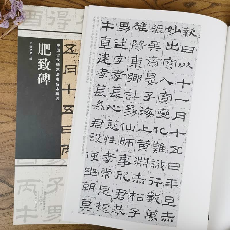 【全新正版】肥致碑中国古代碑志法书范本精选汉隶书高清原碑帖毛笔书法字帖全碑概览简繁体注释河南美术 肥致碑