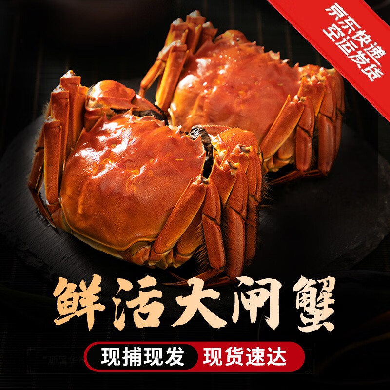 【活蟹】喜锦农 鲜活螃蟹 生鲜河蟹礼盒 公4.0-4.3两2只 母2.3-2.5两8只（共10只）