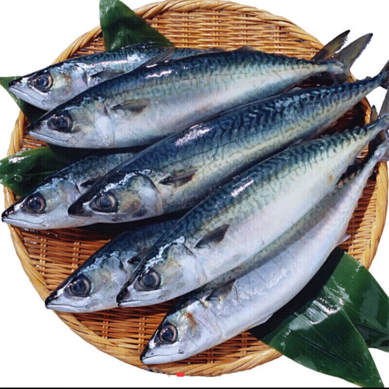 京乐狳【京鲜送】新鲜水产鲐鱼青占鱼小鲅鱼日料食材500g 1斤装