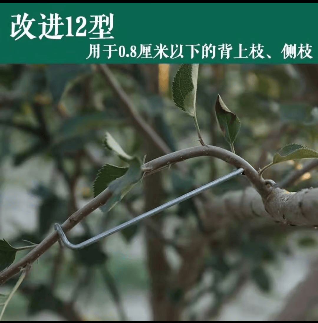 柏木格果树拉枝器开角工具压别枝苹果树拨枝拉枝定型园艺用品老化