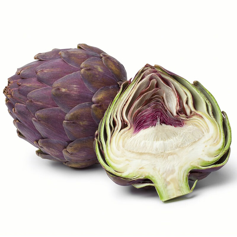 神禾 洋蓟种子朝鲜蓟蔬菜种籽 紫色朝鲜蓟种子 10粒