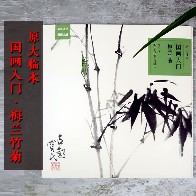 原大原色临本初学者学生视频基础教程书 写意水墨梅兰竹菊画册步骤