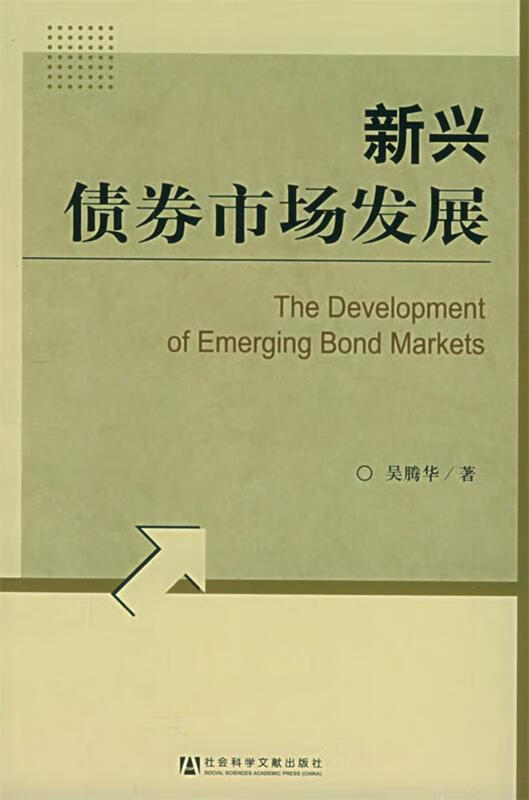 新兴债券市场发展