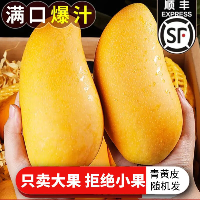 捌零鲜生物语（顺丰JD）正宗金煌芒果新鲜水果 特大果芒果 青皮芒果水果礼盒 9斤精品特大果（精选）