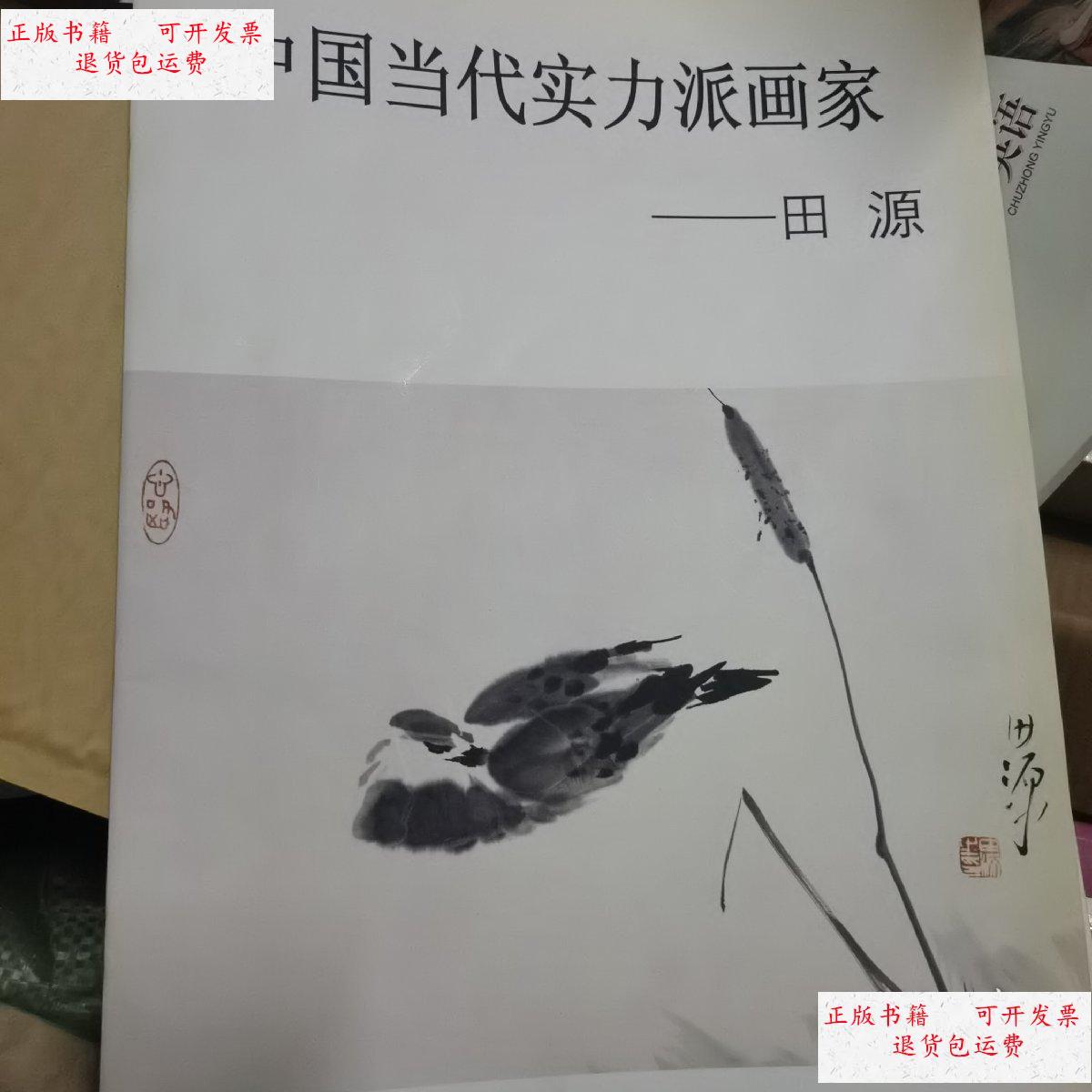【二手9成新】中国当代实力派画家田源 /田源 天津人民美术出版社