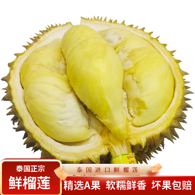 鲜惠源 泰国进口金枕头榴莲 巴掌榴莲新鲜生鲜 软糯香甜 2-3斤(单个)