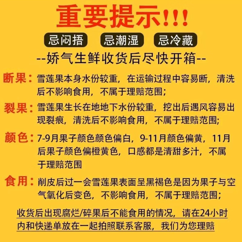 绿相忆云南雪莲果 新鲜当季低糖水果现挖生鲜黄心大果整箱现发 净重 5斤 普通包装-推荐