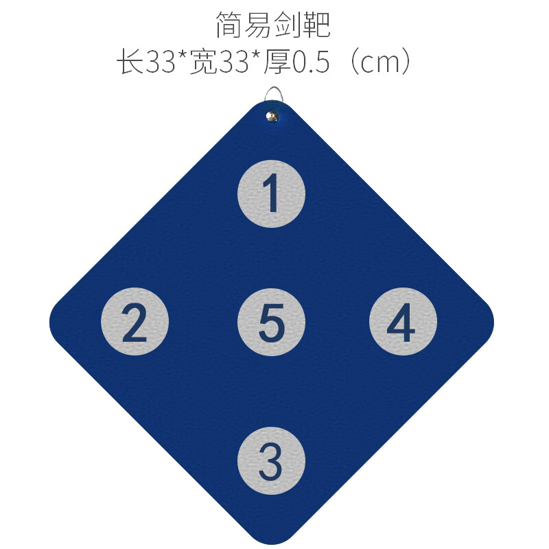 pauline pesery击剑剑靶 儿童成人挂墙壁式挂训练人工