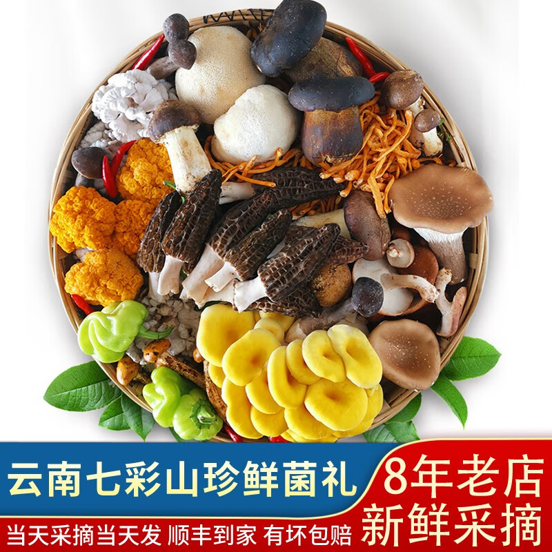 美果汇野生菌组合 新鲜山珍组合菌云南特产菌菇牛肝菌【顺丰空运直达