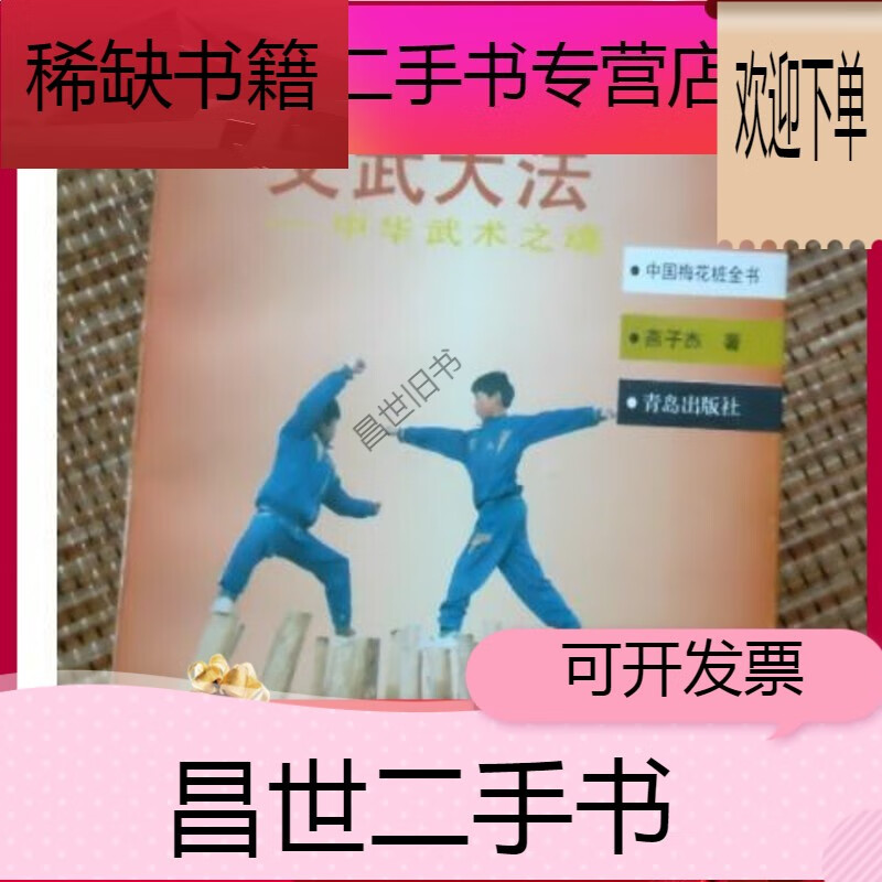 新】中国梅花桩文武大法 中华武术之魂 燕子杰著 青岛出版199801拳术