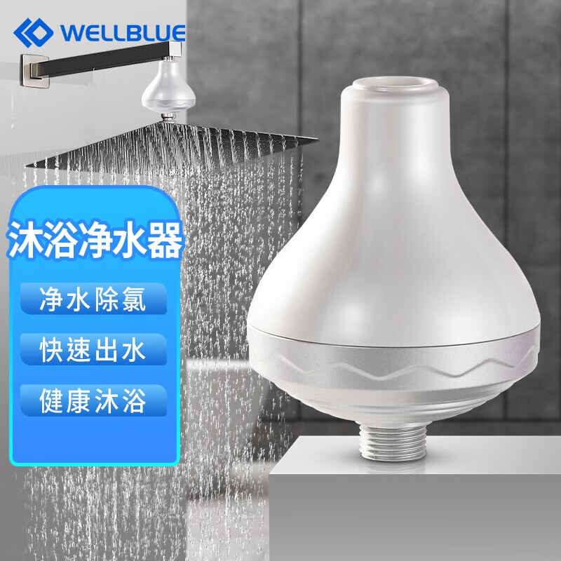 蓝盾 花洒净水器家用增加压淋沐浴除氯过滤器莲蓬头前置过滤器自来水