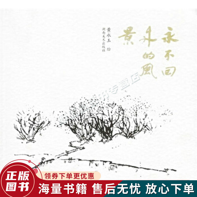 永不回来的风景