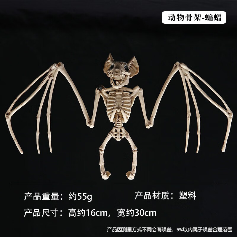 蝙蝠老鼠蜘蛛骨架鬼屋装饰道具整蛊仿真吓人场景装饰 动物骨架-蝙蝠