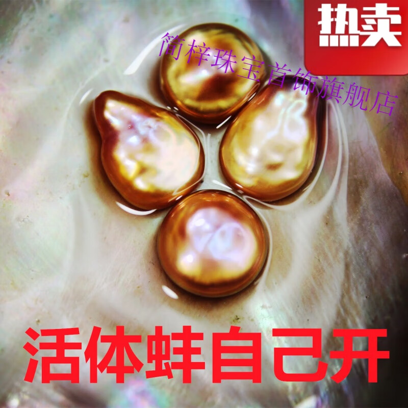 简梓巴洛克珍珠蚌 开蚌取异型纽扣珍珠自己开珍珠diy鲜活特大 寄纽扣