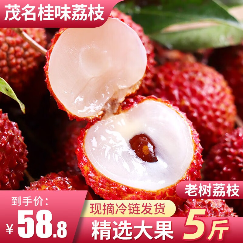 京东新品首发 2023-06-19 - 第12张  | 最新购物优惠券