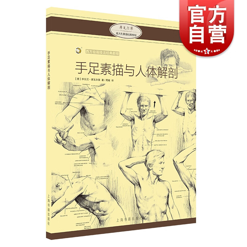 手足素描与人体解剖 西方绘画技法经典教程 上海书画出版社