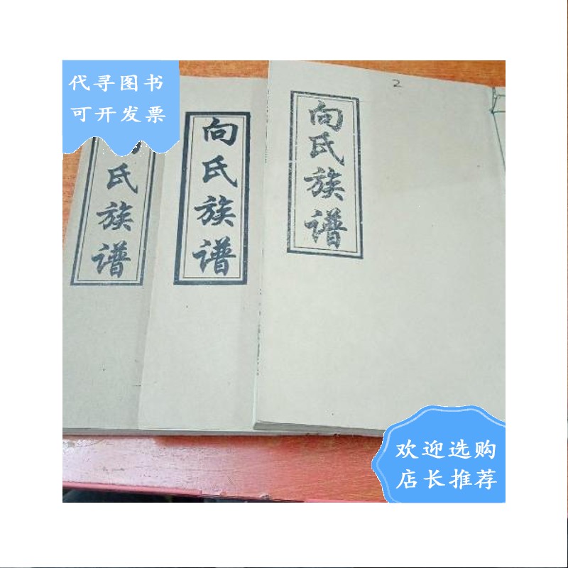 【二手八成新】向氏族谱 大耐堂