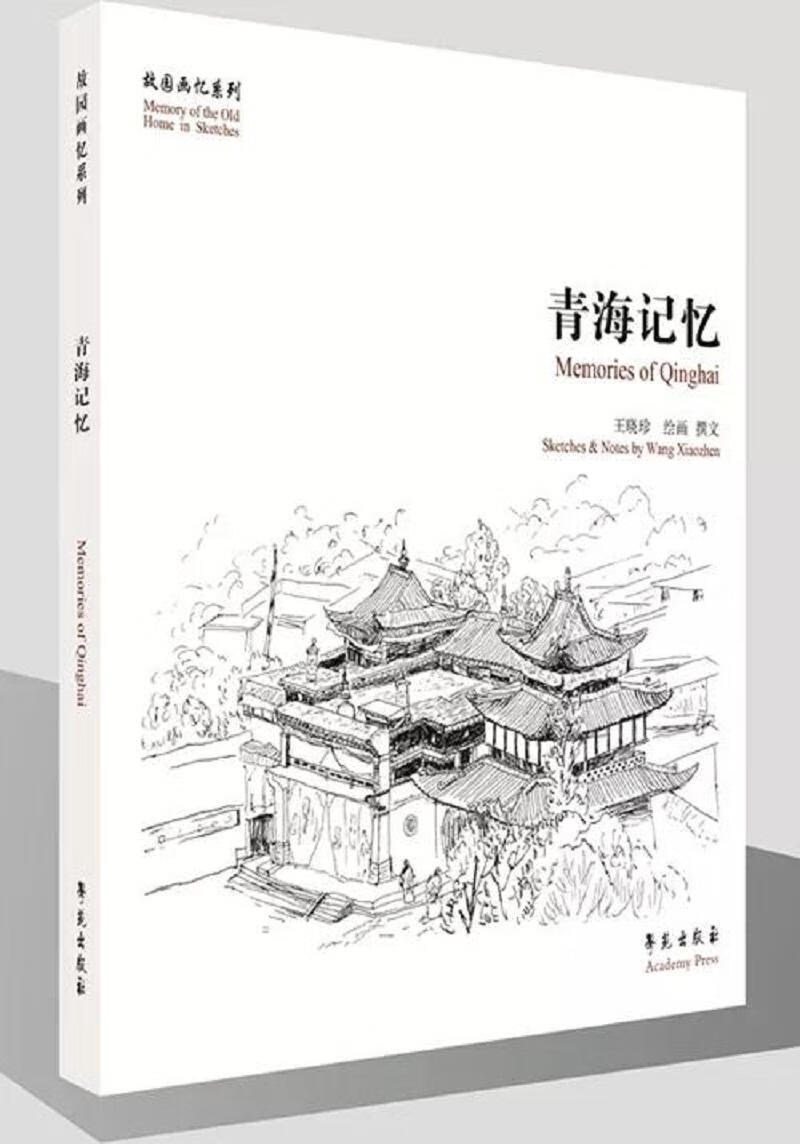 青海记忆绘画钢笔画作品集中国现代 图书