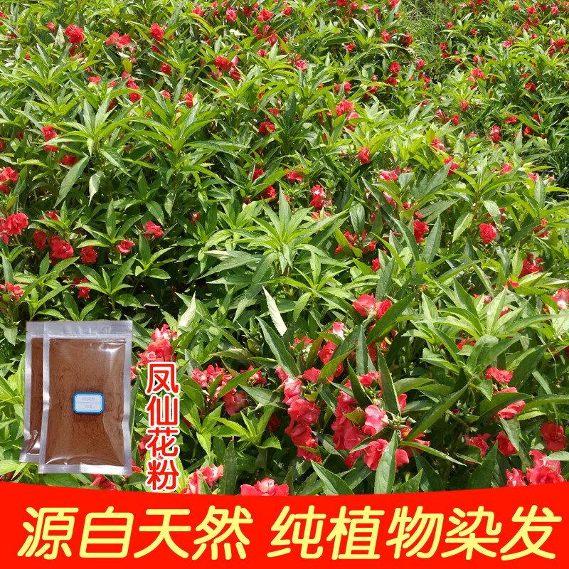 染花 相关京东优惠商品排行榜 价格图片品牌优惠券 虎窝购